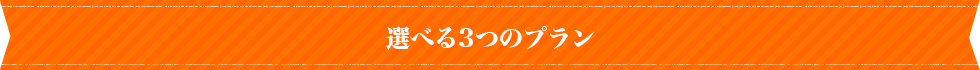 選べる3つのプラン